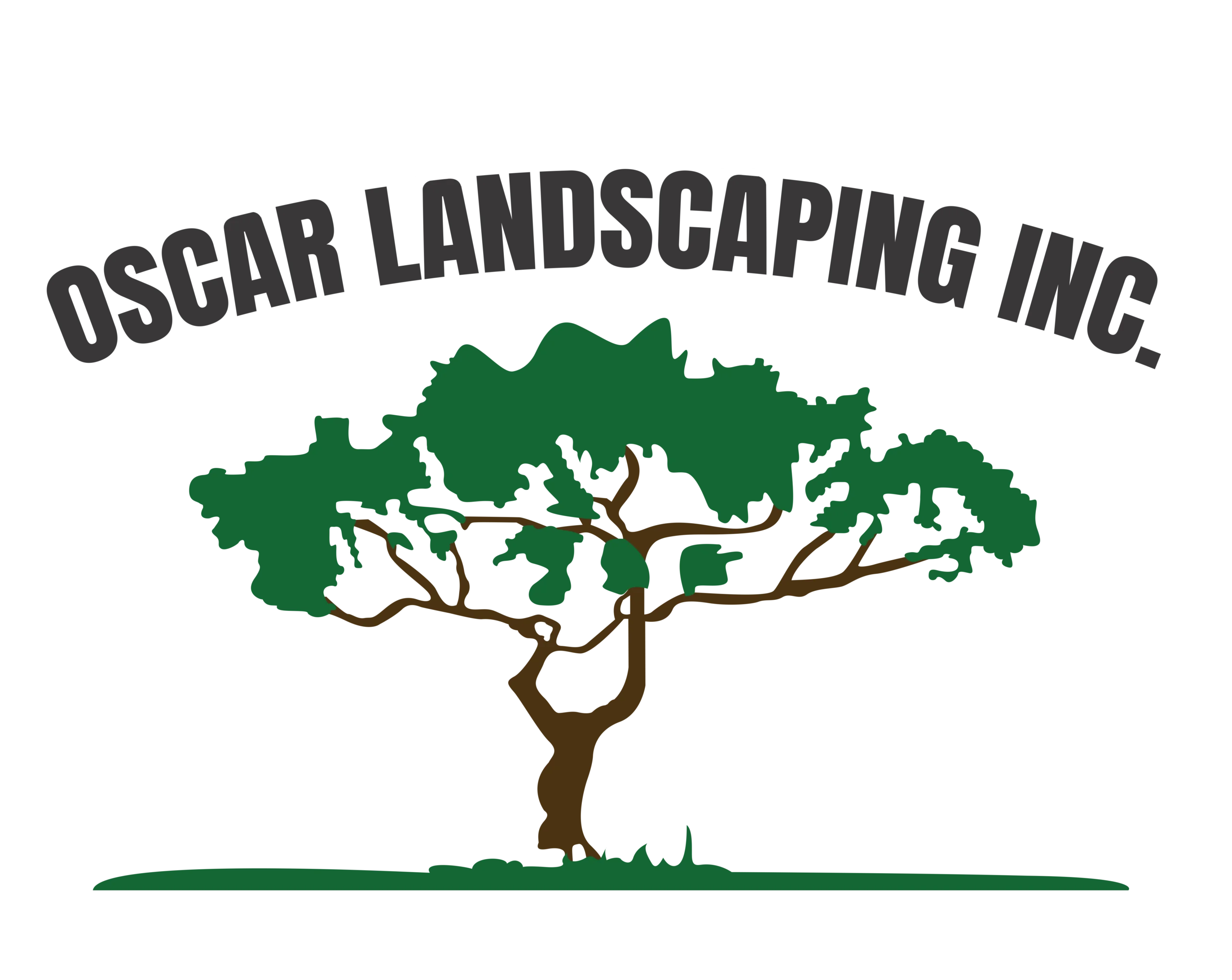 logo hd